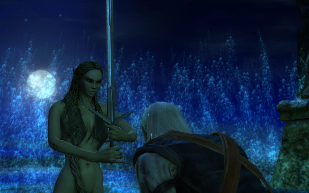 witcher 2021-11-14 12-08-39-30_alt.png