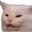 YYCTE9c.png.png