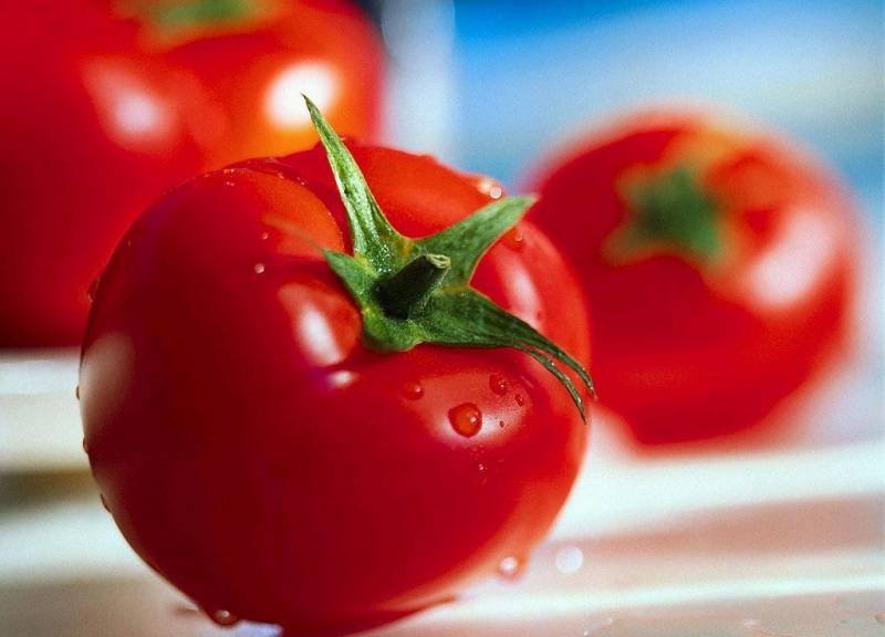 1361729562_svoystva-tomatov.jpg.jpeg