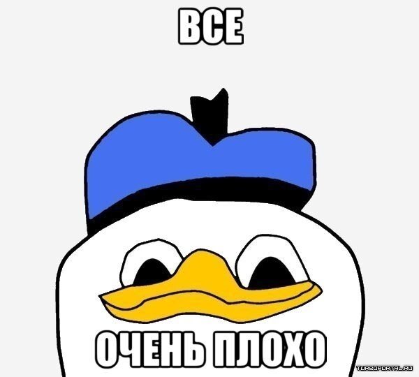 1372791205_9pm18o3a9n4.jpg.jpeg