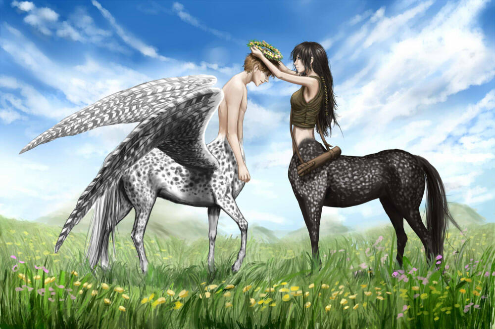 centaur_couple_by_yet_one_more_idiot-d6fwdw5.jpg.jpeg