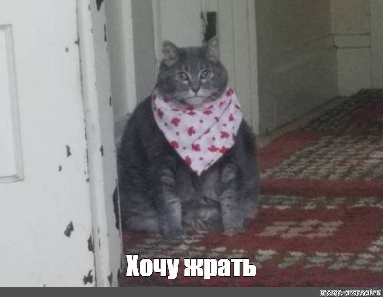 d8c4581c41ca56ec3da1ef205b53344a.jpg.jpeg