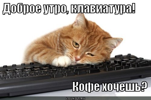 dobroye-utro_1347741152.jpg.jpeg