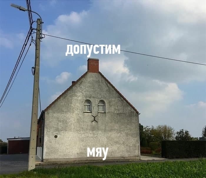 %D0%B4%D0%BE%D0%BC-%D0%BA%D0%BE%D1%82-%D0%9F%D0%B0%D1%80%D0%B5%D0%B9%D0%B4%D0%BE%D0%BB%D0%B8%D1%8F-7080272.jpg.jpeg