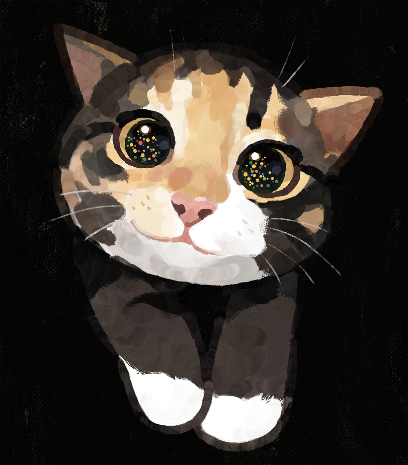 GENTLECAT-%D0%BA%D0%BE%D1%82-%D0%BF%D0%B5%D1%80%D0%B5%D1%80%D0%B8%D1%81%D0%BE%D0%B2%D0%BA%D0%B0-7088818.jpg.jpeg