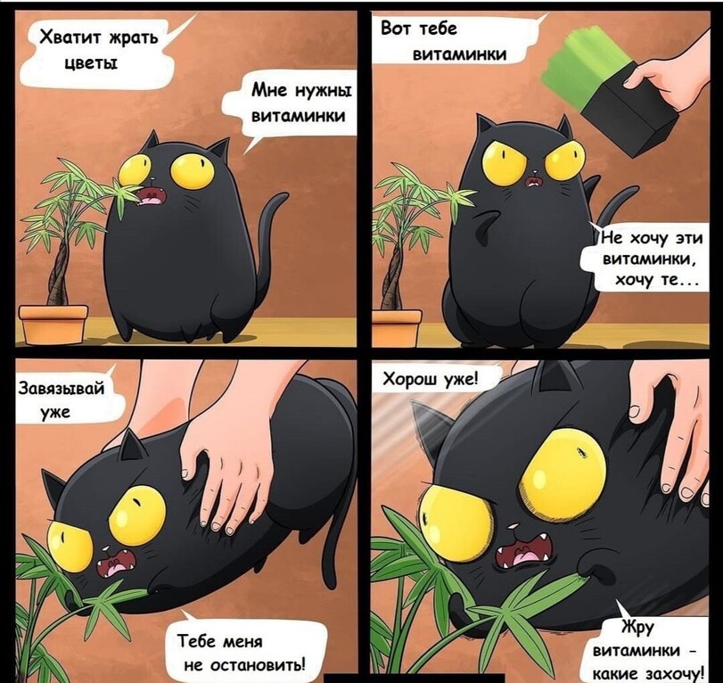 %D0%B3%D0%B8%D1%84%D0%BA%D0%B8-%D0%BA%D0%BE%D1%82%D1%8D-4381329.jpg.jpeg