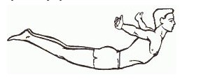 img2_140.jpg.jpeg