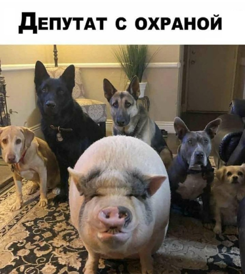 jpg.jpeg