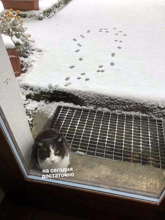 jpg.jpeg