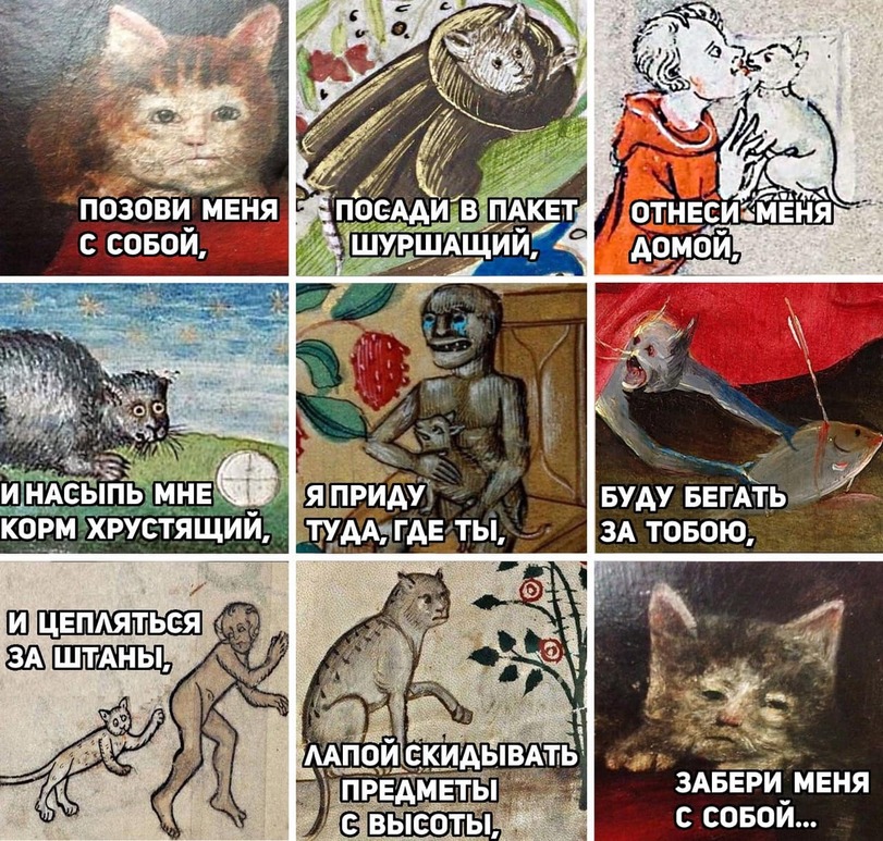 jpg.jpeg