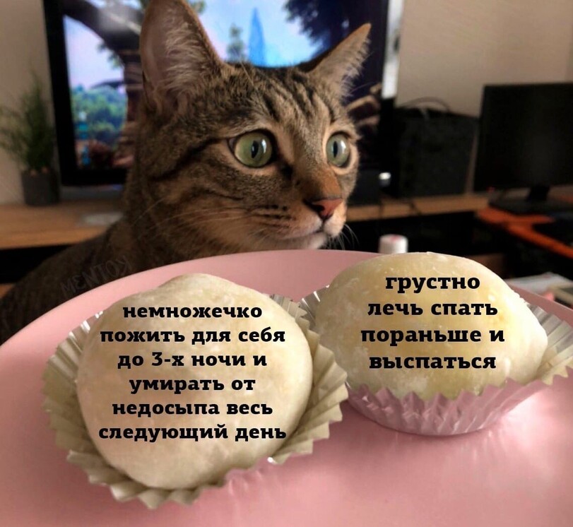 jpg.jpeg