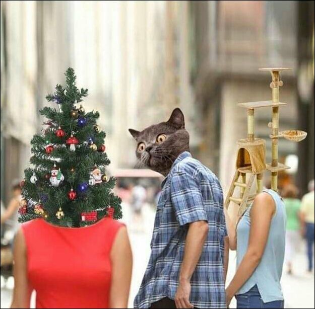 %D0%BA%D0%BE%D1%82%D1%8D-%D0%B5%D0%BB%D0%BA%D0%B0-Distracted-Boyfriend-%D0%9C%D0%B5%D0%BC%D1%8B-7103506.jpg.jpeg
