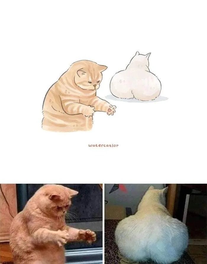 %D0%BA%D0%BE%D1%82%D1%8D-%D0%B6%D0%BE%D0%BF%D0%BA%D0%B8-watercatlor-7115464.jpeg