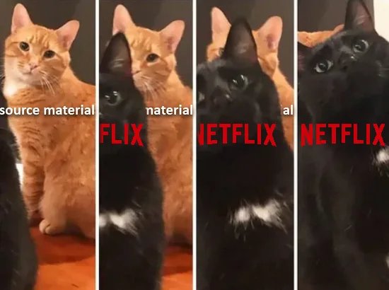 Netflix-netflix-adaptation-%D0%BA%D0%BE%D1%82%D1%8D-7109828.jpg.jpeg