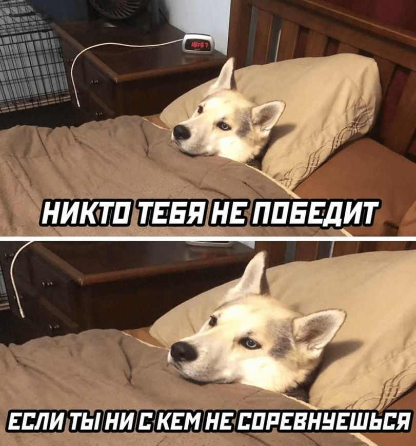 %D0%BF%D0%B5%D1%81%D0%BE%D1%87%D0%BD%D0%B8%D1%86%D0%B0-7097867.png.webp.png