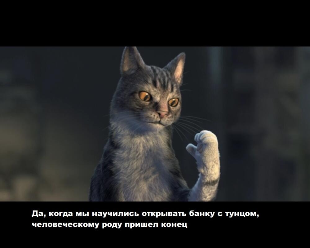 PgMz2.jpg.jpeg