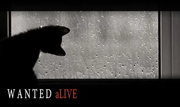 RPN-wantedalive-small.webp