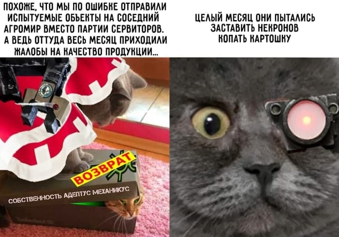 VauHLNg.jpg.jpeg