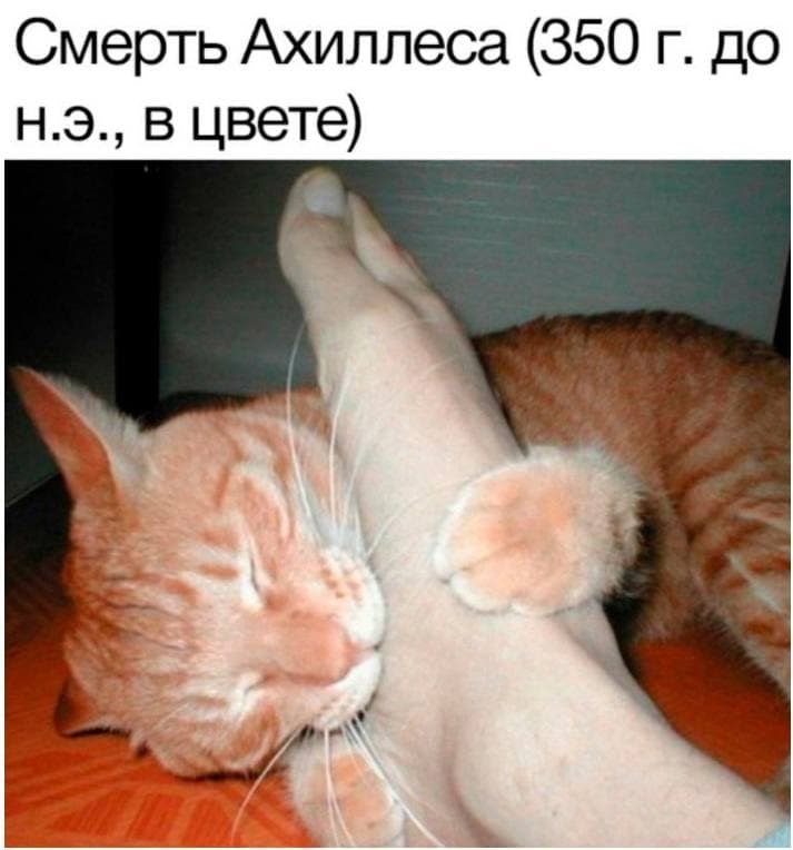 %D0%9F%D1%80%D0%B8%D0%BA%D0%BE%D0%BB%D1%8B-%D0%B4%D0%BB%D1%8F-%D0%B4%D0%B0%D1%83%D0%BD%D0%BE%D0%B2-%D1%80%D0%B0%D0%B7%D0%BD%D0%B.jpeg