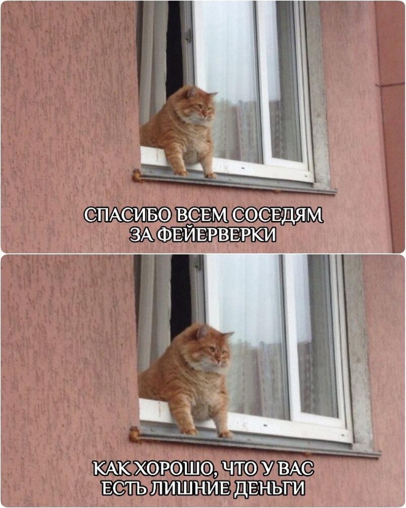 %D1%81%D0%BE%D1%81%D0%B5%D0%B4%D0%B8-%D0%BA%D0%BE%D1%82%D1%8D-%D0%BC%D0%BE%D0%BD%D1%82%D0%B0%D0%B6%D0%BD%D0%B0%D1%8F-%D0%BF%D0%B.jpeg