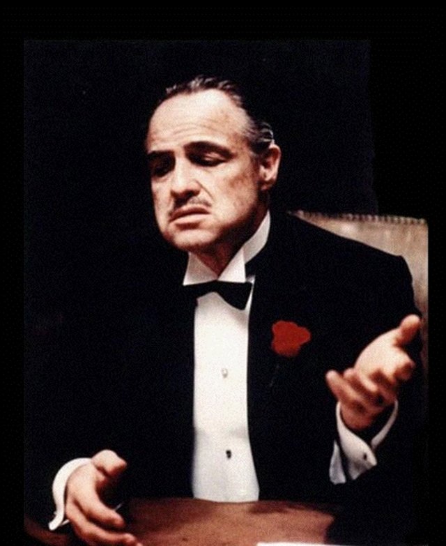 1510973716-don-corleone.jpg.jpeg
