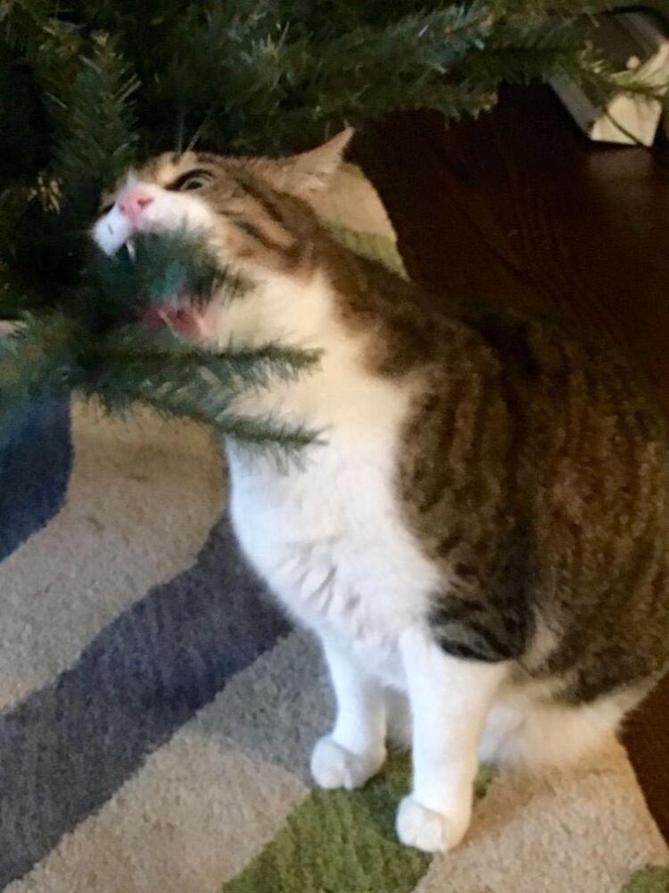 20163011183626_0.jpg.jpeg