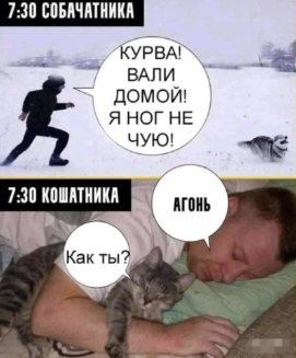 37441640.png.webp.png