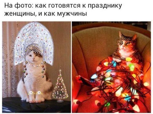 demotivatord6.jpg.jpeg