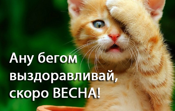 images_1420.jpg.jpeg