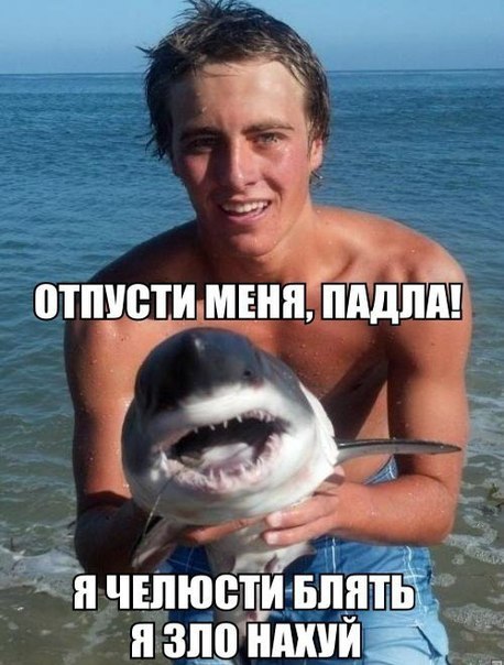 -KMC18FcQlo.jpg.jpeg