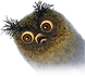 Chaotic999