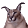 R9wktvh.gif