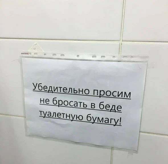 scale_1200.webp