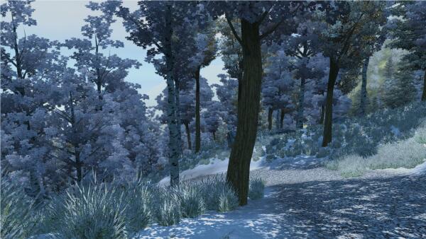 Winter