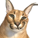 xq9Iqnr.png.png