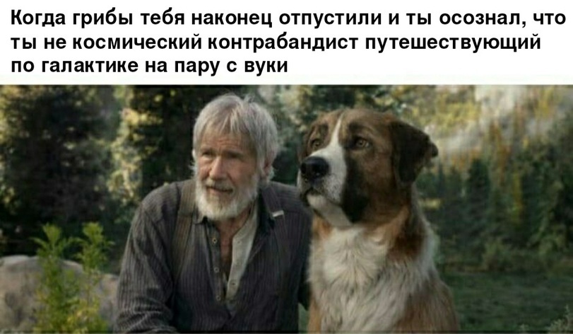 SW-Other-%D0%97%D0%B2%D0%B5%D0%B7%D0%B4%D0%BD%D1%8B%D0%B5-%D0%92%D0%BE%D0%B9%D0%BD%D1%8B-%D1%84%D1%8D%D0%BD%D0%B4%D0%BE%D0%BC%D1.jpeg