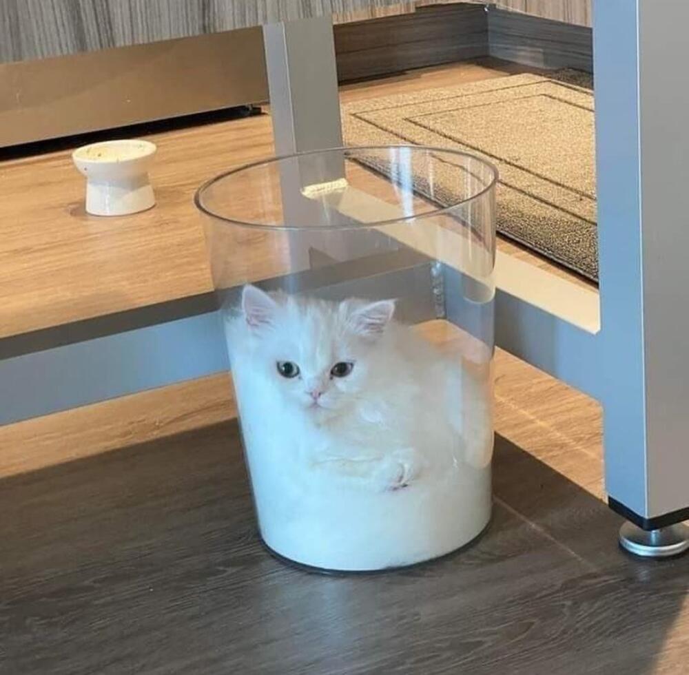 16312377.jpg.jpeg