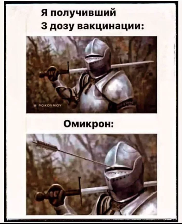 1643305805195628413.webp