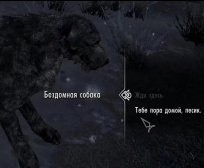32f054b447fa.jpg.jpeg