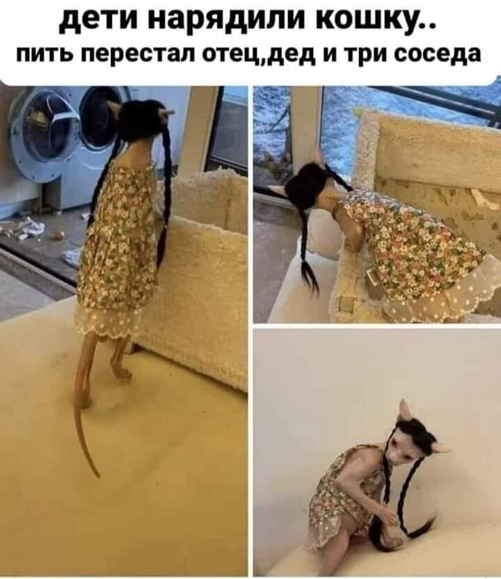 37518952.jpg.jpeg