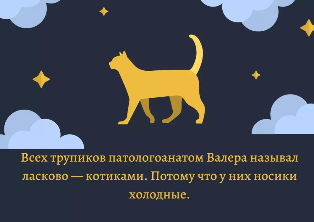 38006104.jpg.jpeg