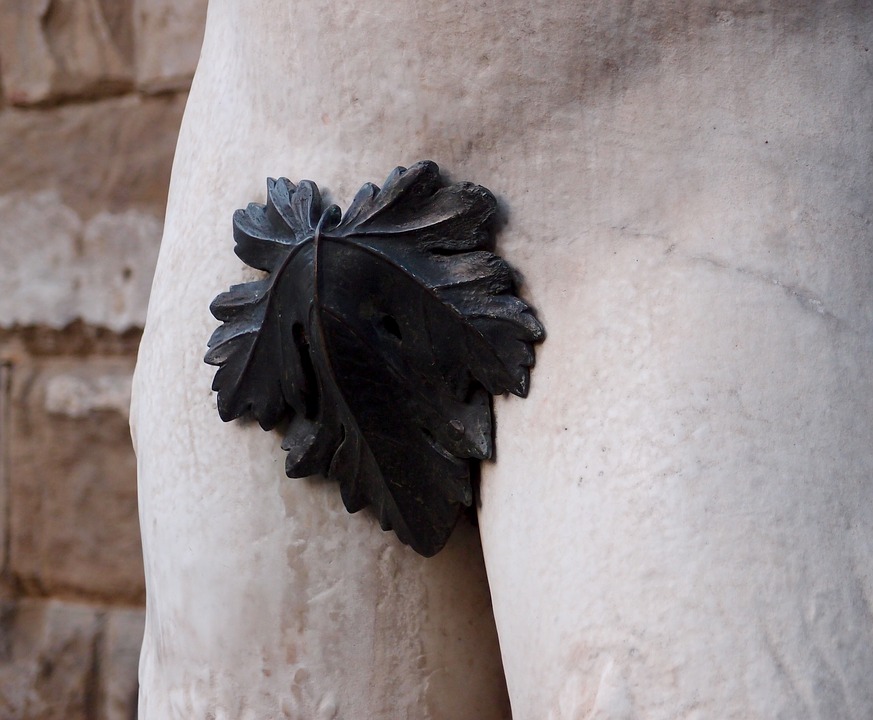 fig-leaf-1657854_960_720.jpg.jpeg