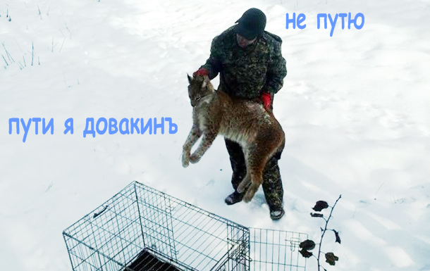 Подробнее о "..."