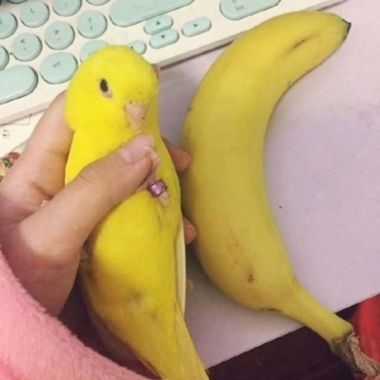 image.jpg.jpeg