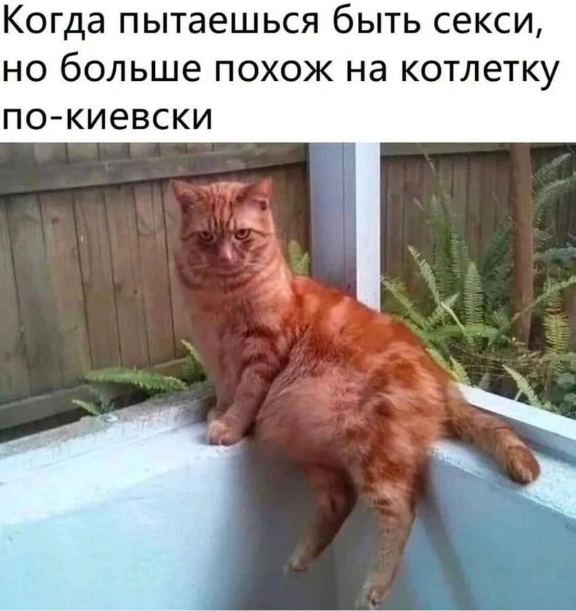 jpg.jpeg