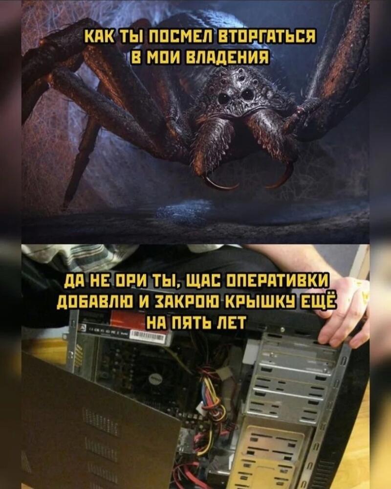 jpg.jpeg