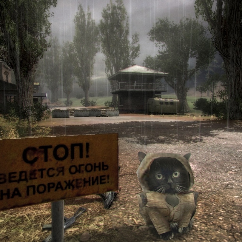 stalker-other-STALKER-%D1%84%D1%8D%D0%BD%D0%B4%D0%BE%D0%BC%D1%8B-%D0%BF%D1%83%D0%BF%D1%81%D0%B8%D1%87-7160414.jpeg