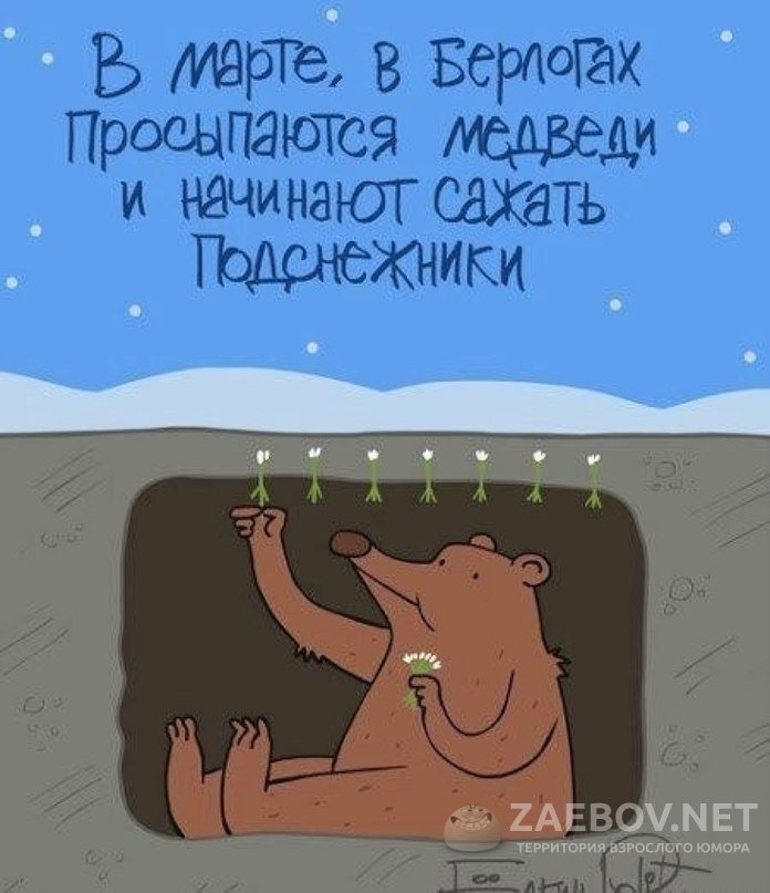 1456829833_hgtnen61-ew.jpg.jpeg