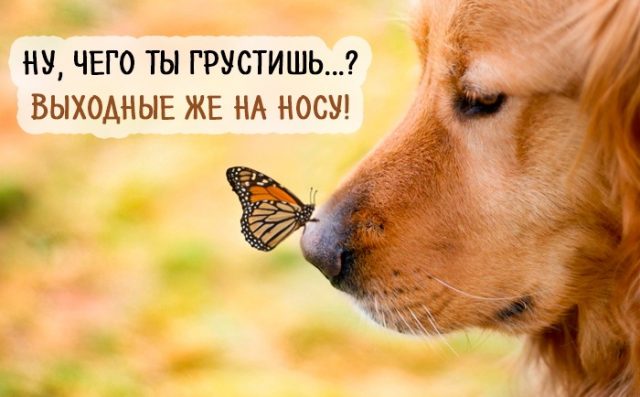 1472134970_12-640x397.jpg.jpeg