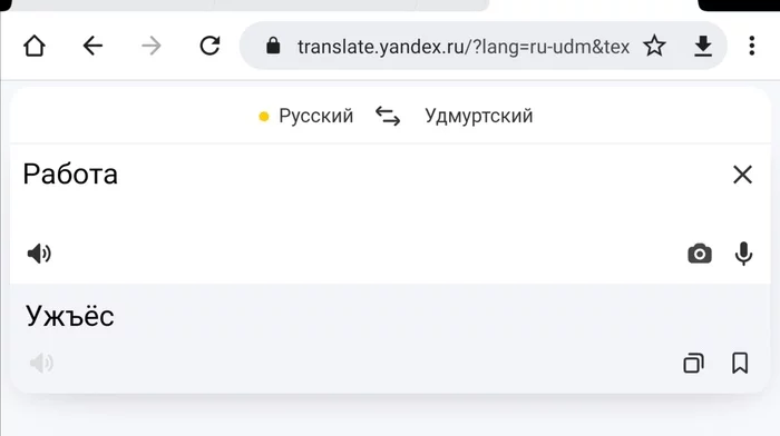 1648431954152835547.webp